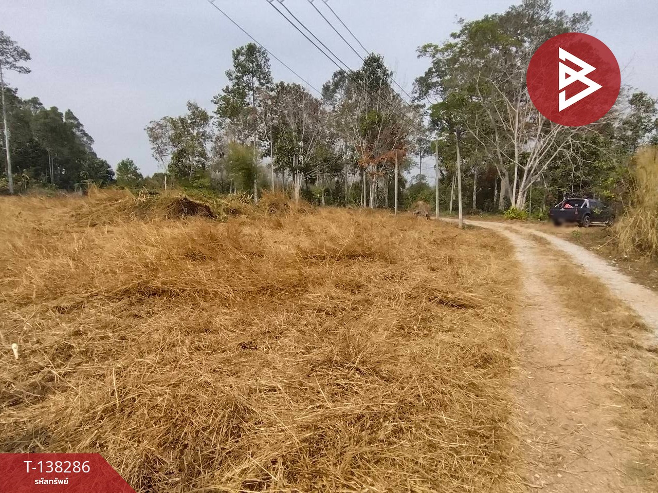 ขายที่ดิน เนื้อที่ 2 งาน ท่าช้าง จันทบุรี 8