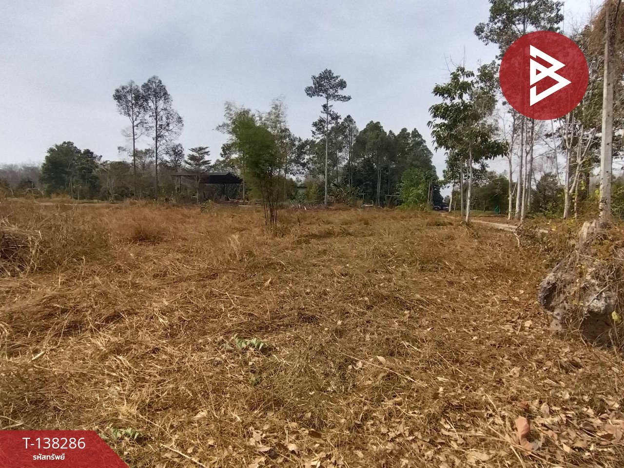 ขายที่ดิน เนื้อที่ 2 งาน ท่าช้าง จันทบุรี 7