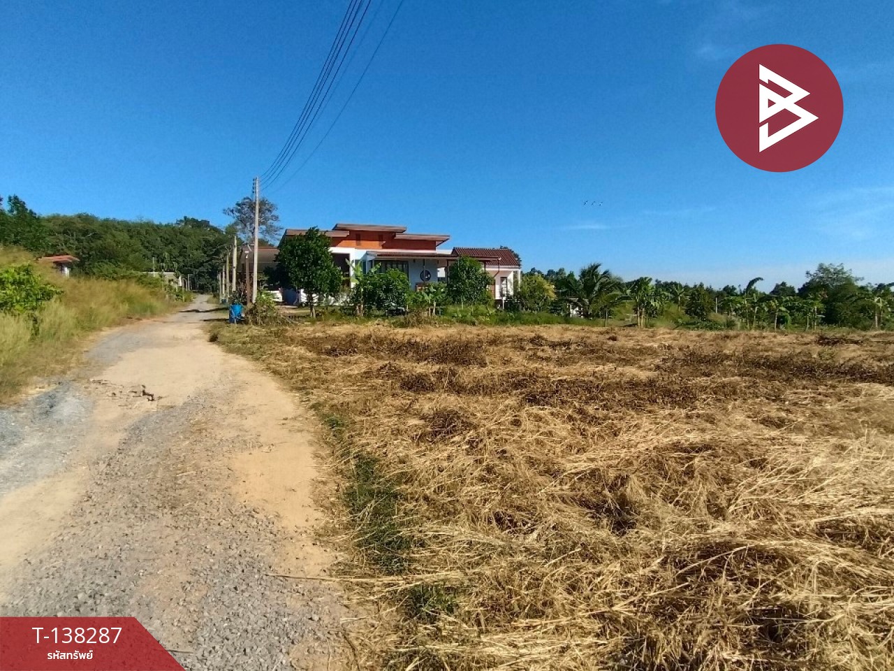 ขายที่ดิน เนื้อที่ 1 ไร่ 2 งาน 65.2 ตร.วา แสลง จันทบุรี 6