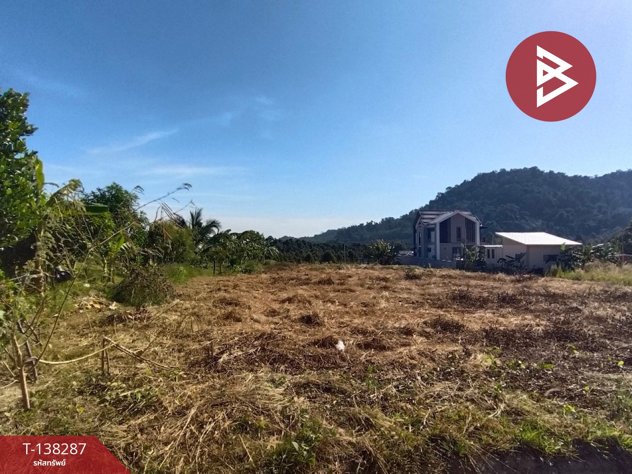 ขายที่ดิน เนื้อที่ 1 ไร่ 2 งาน 65.2 ตร.วา แสลง จันทบุรี 5