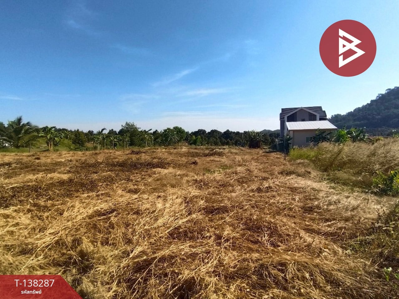 ขายที่ดิน เนื้อที่ 1 ไร่ 2 งาน 65.2 ตร.วา แสลง จันทบุรี 4