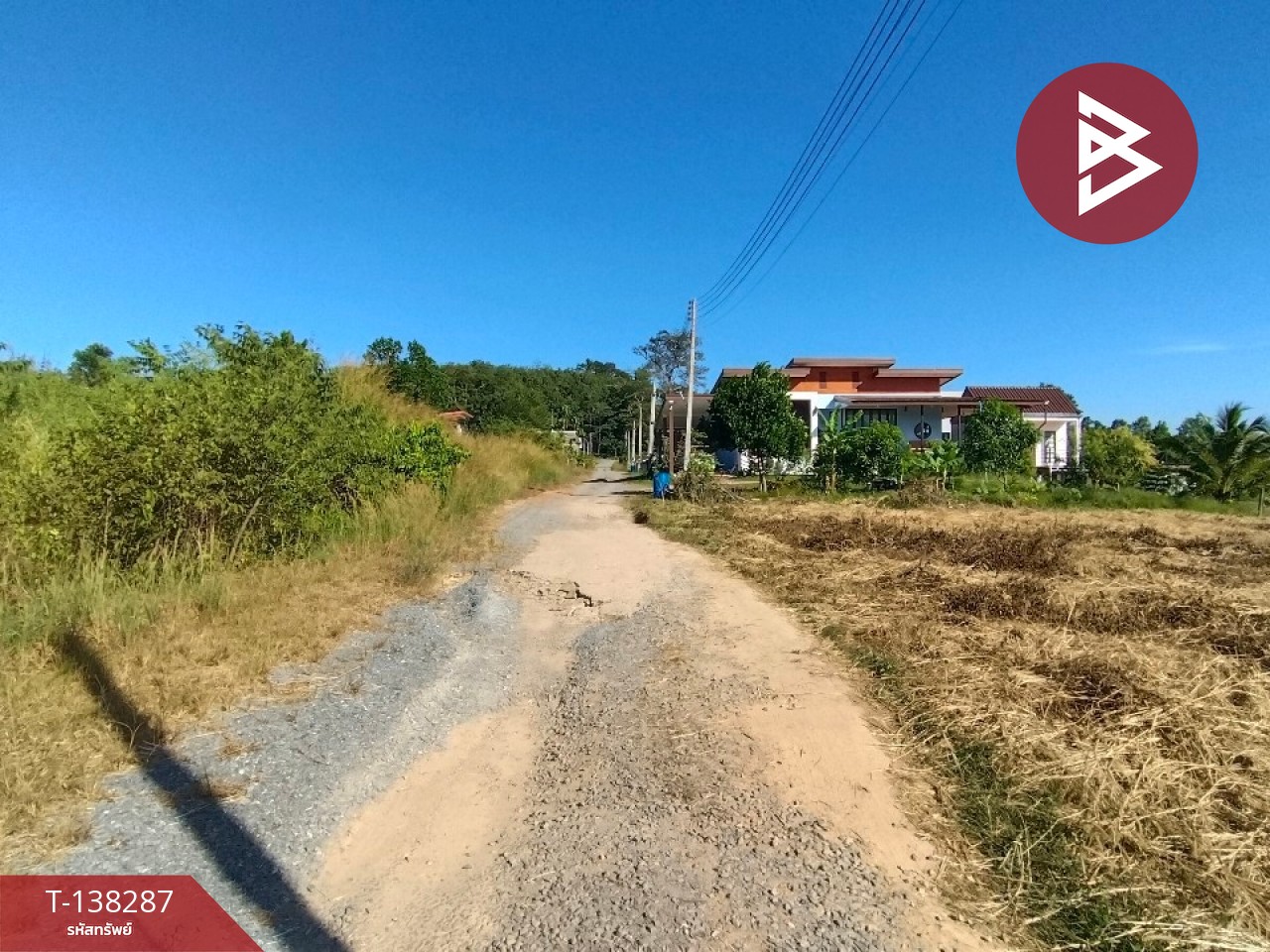 ขายที่ดิน เนื้อที่ 1 ไร่ 2 งาน 65.2 ตร.วา แสลง จันทบุรี 7