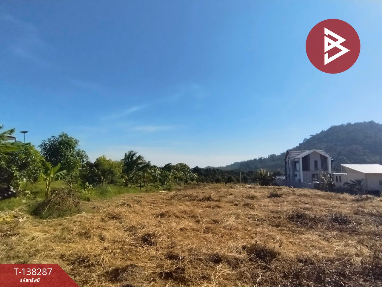 ขายที่ดิน เนื้อที่ 1 ไร่ 2 งาน 65.2 ตร.วา แสลง จันทบุรี 3