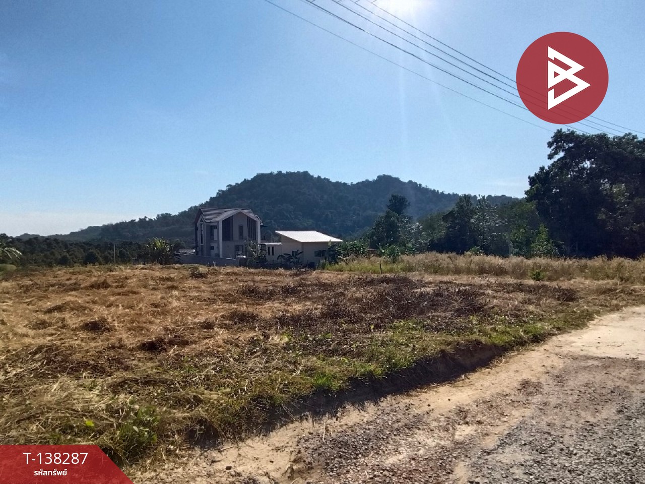 ขายที่ดิน เนื้อที่ 1 ไร่ 2 งาน 65.2 ตร.วา แสลง จันทบุรี 2