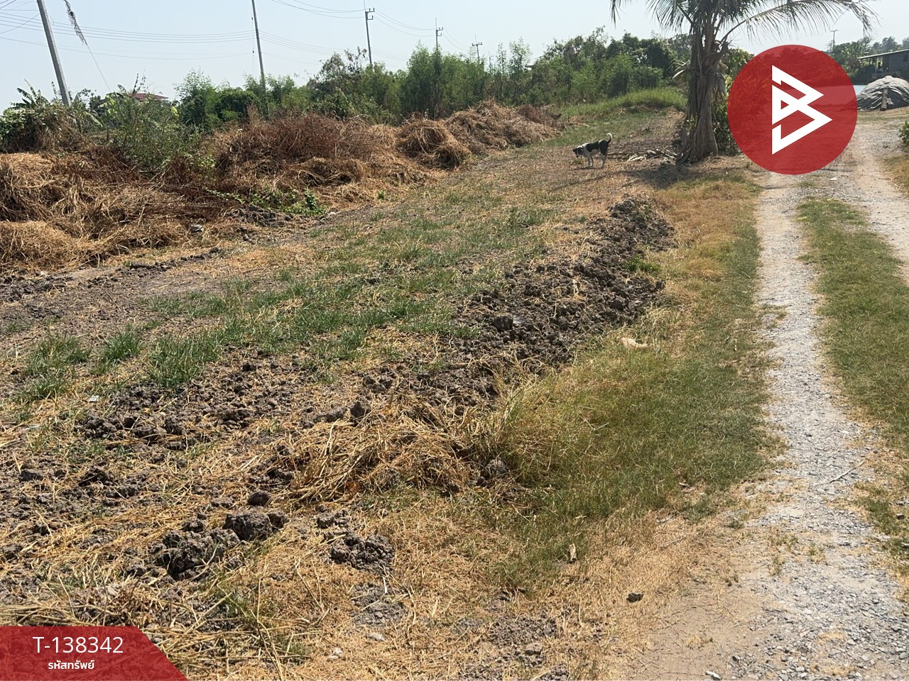 ขายที่ดินเปล่า เนื้อที่ 188.2 ตารางวา บางแก้ว ฉะเชิงเทรา 5