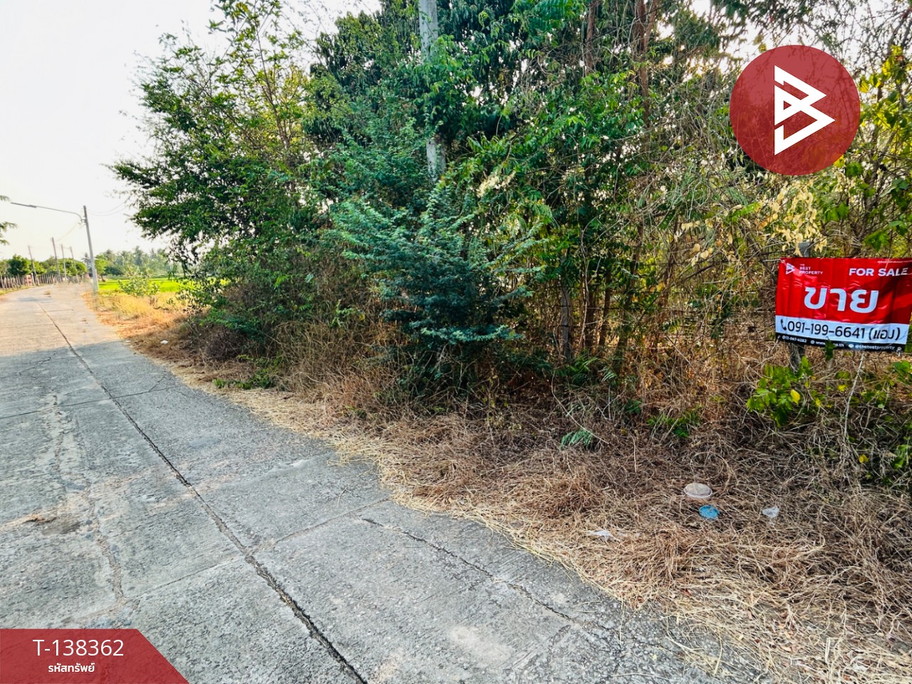 ขายที่ดิน เนื้อที่ 2 งาน โพธาราม ราชบุรี 4