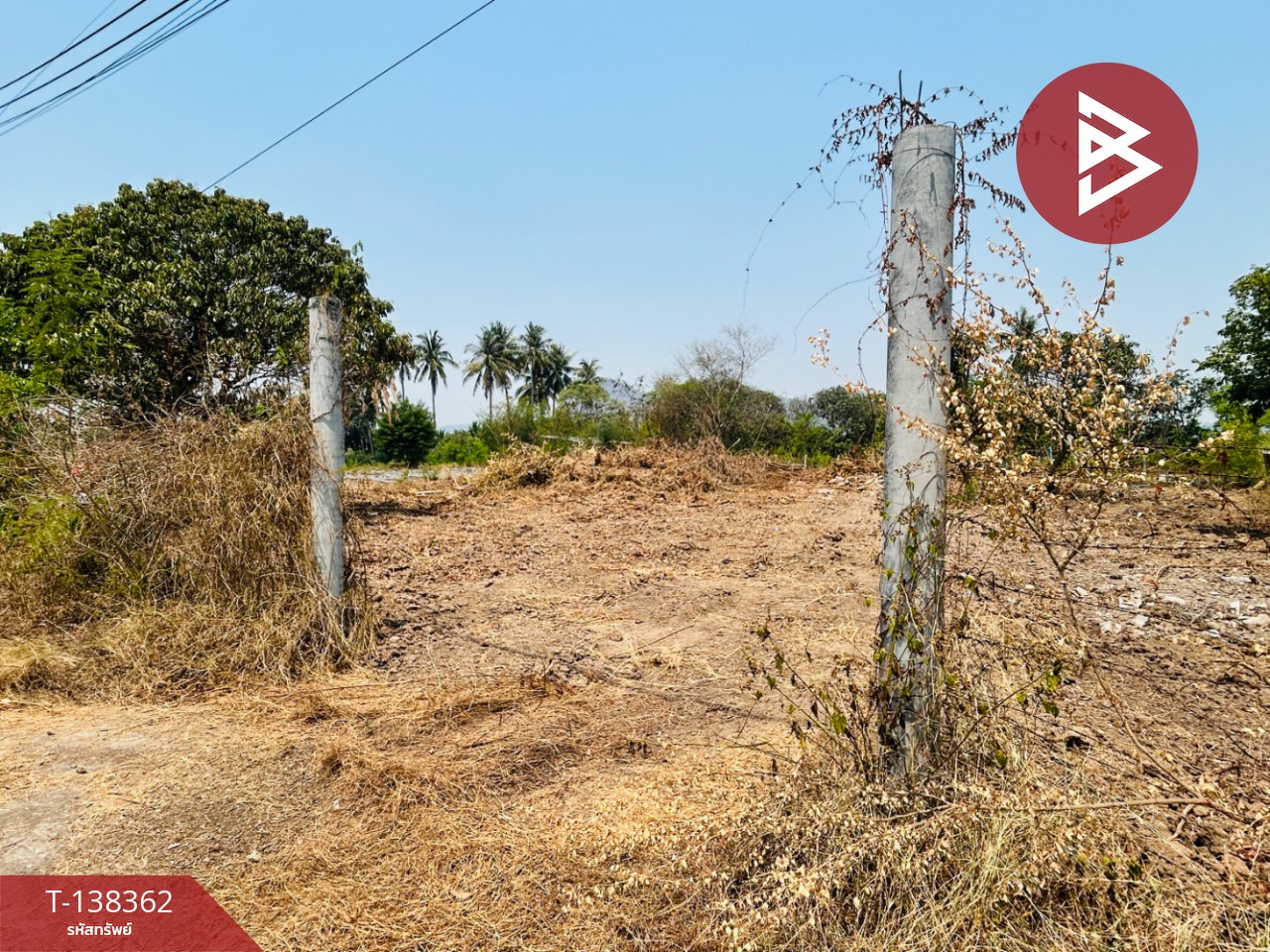 ขายที่ดิน เนื้อที่ 2 งาน โพธาราม ราชบุรี 5