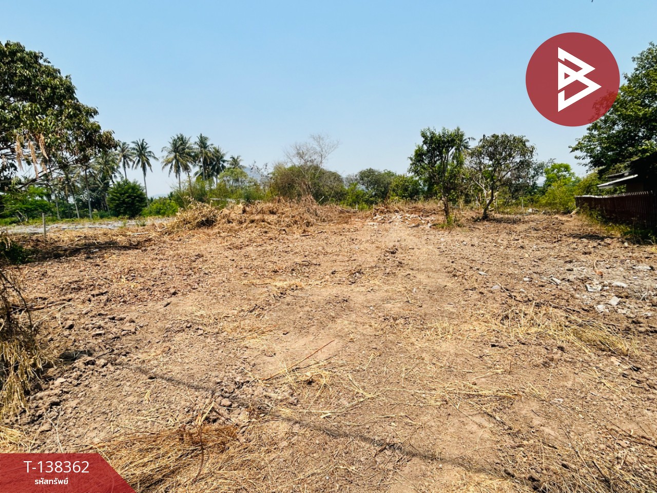 ขายที่ดิน เนื้อที่ 2 งาน โพธาราม ราชบุรี 6