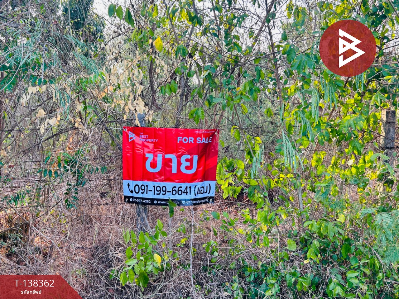 ขายที่ดิน เนื้อที่ 2 งาน โพธาราม ราชบุรี 2