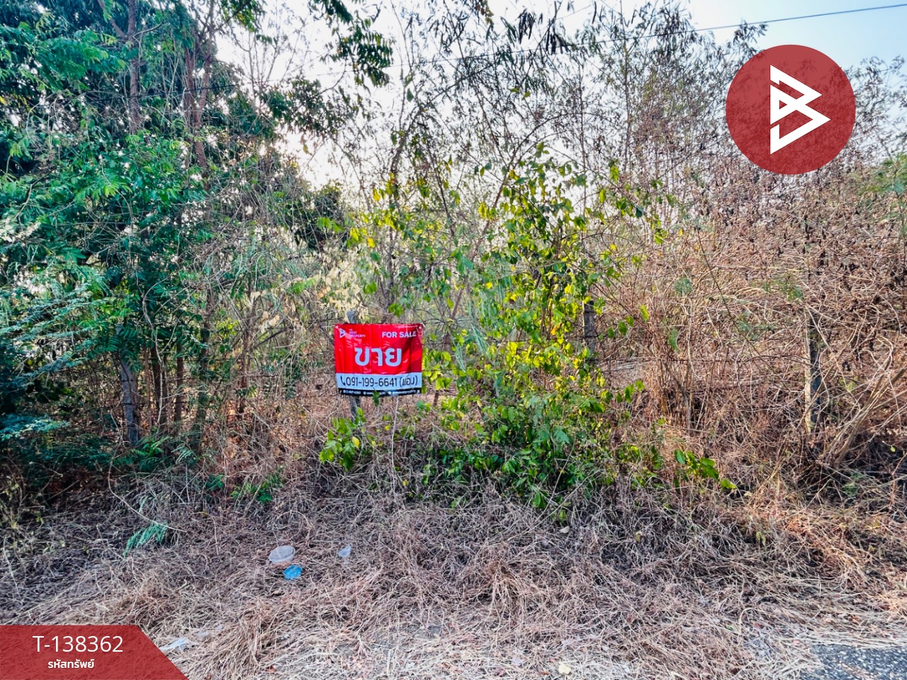 ขายที่ดิน เนื้อที่ 2 งาน โพธาราม ราชบุรี 1