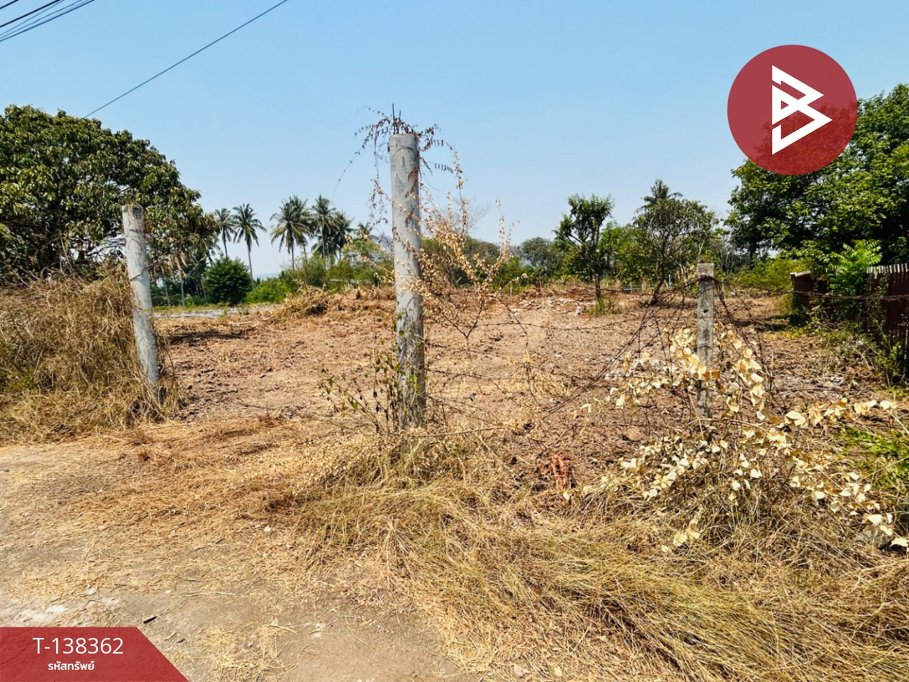 ขายที่ดิน เนื้อที่ 2 งาน โพธาราม ราชบุรี 8