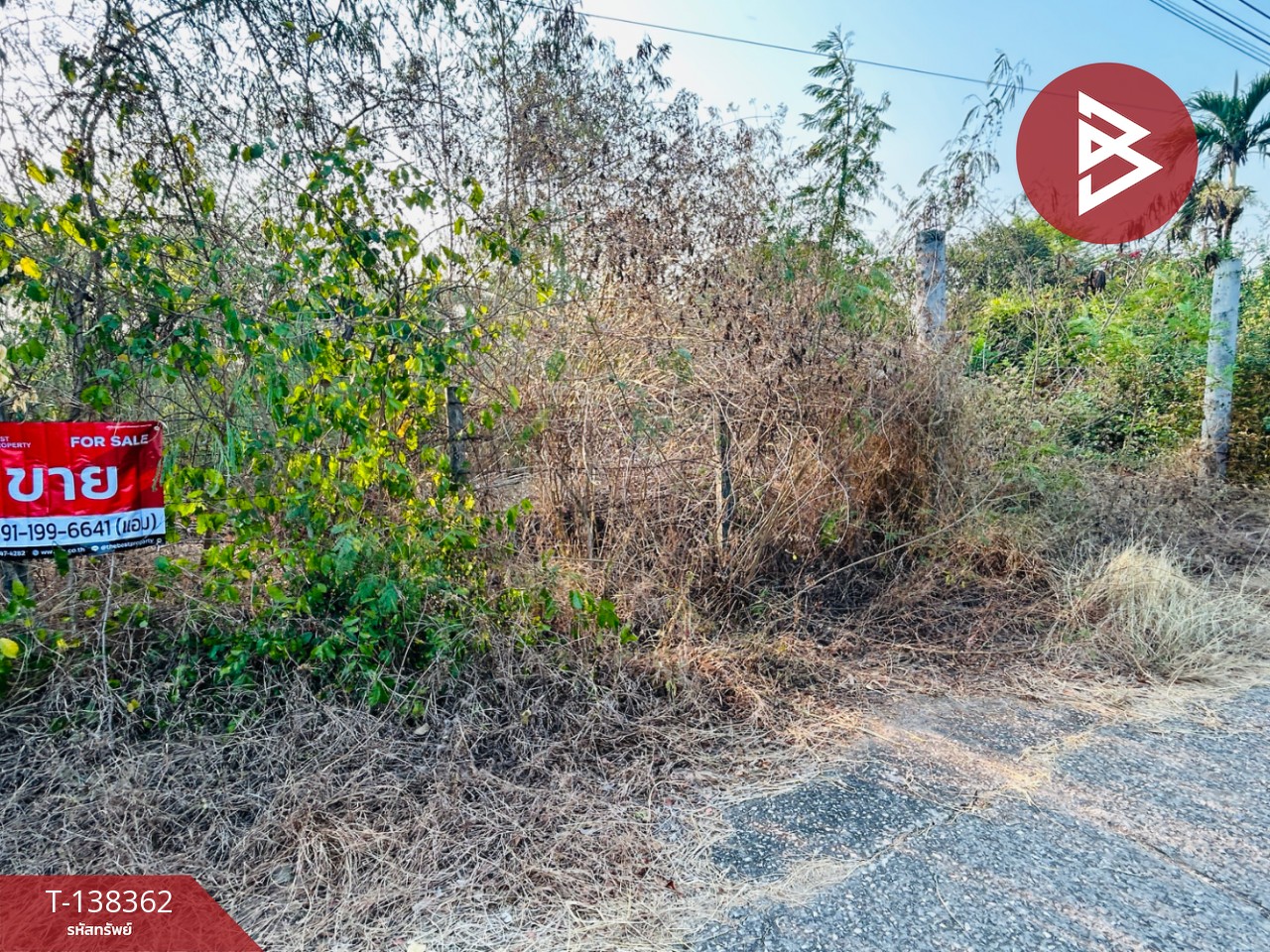 ขายที่ดิน เนื้อที่ 2 งาน โพธาราม ราชบุรี 3