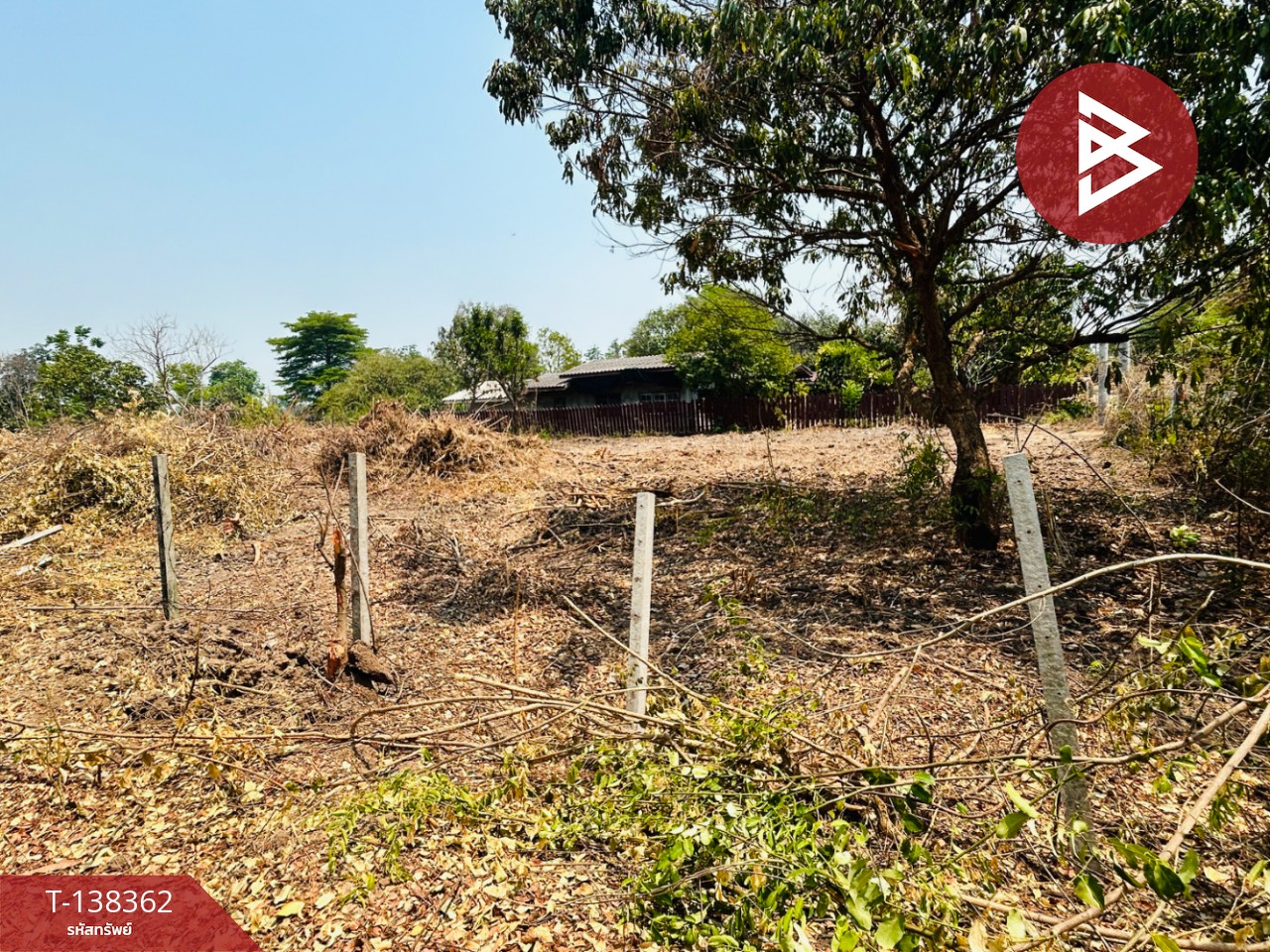 ขายที่ดิน เนื้อที่ 2 งาน โพธาราม ราชบุรี 10