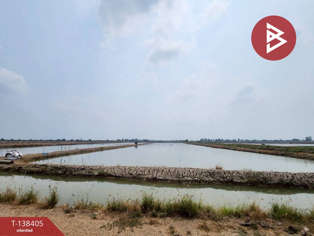 ขายที่ดิน เนื้อที่ 9 ไร่ 98 ตร.วา กำแพงแสน นครปฐม 1