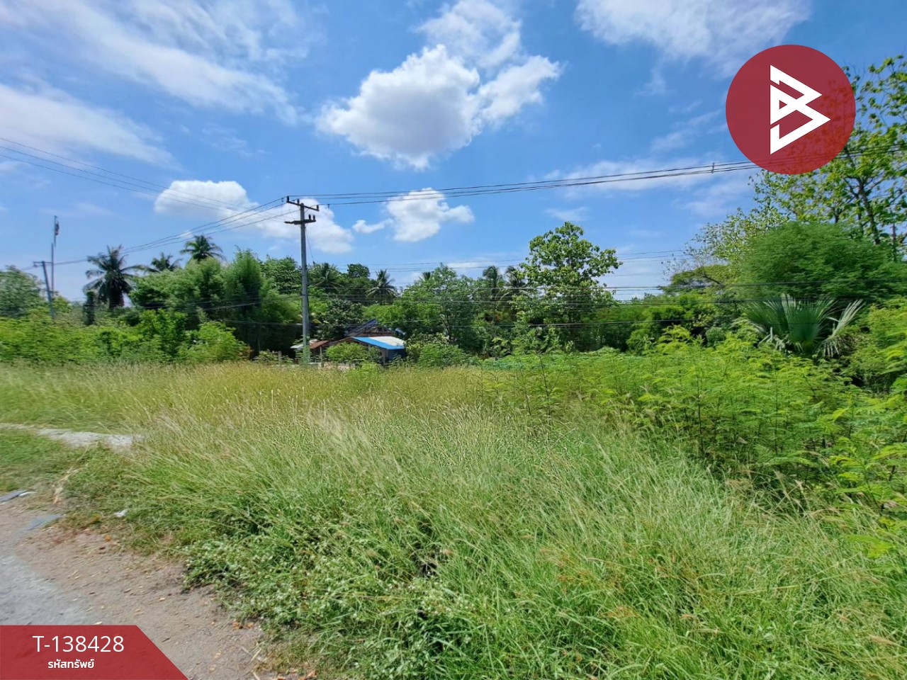 ขายที่ดินเปล่า เนื้อที่ 3 งาน 80 ตร.วา ตากฟ้า นครสวรรค์ 4