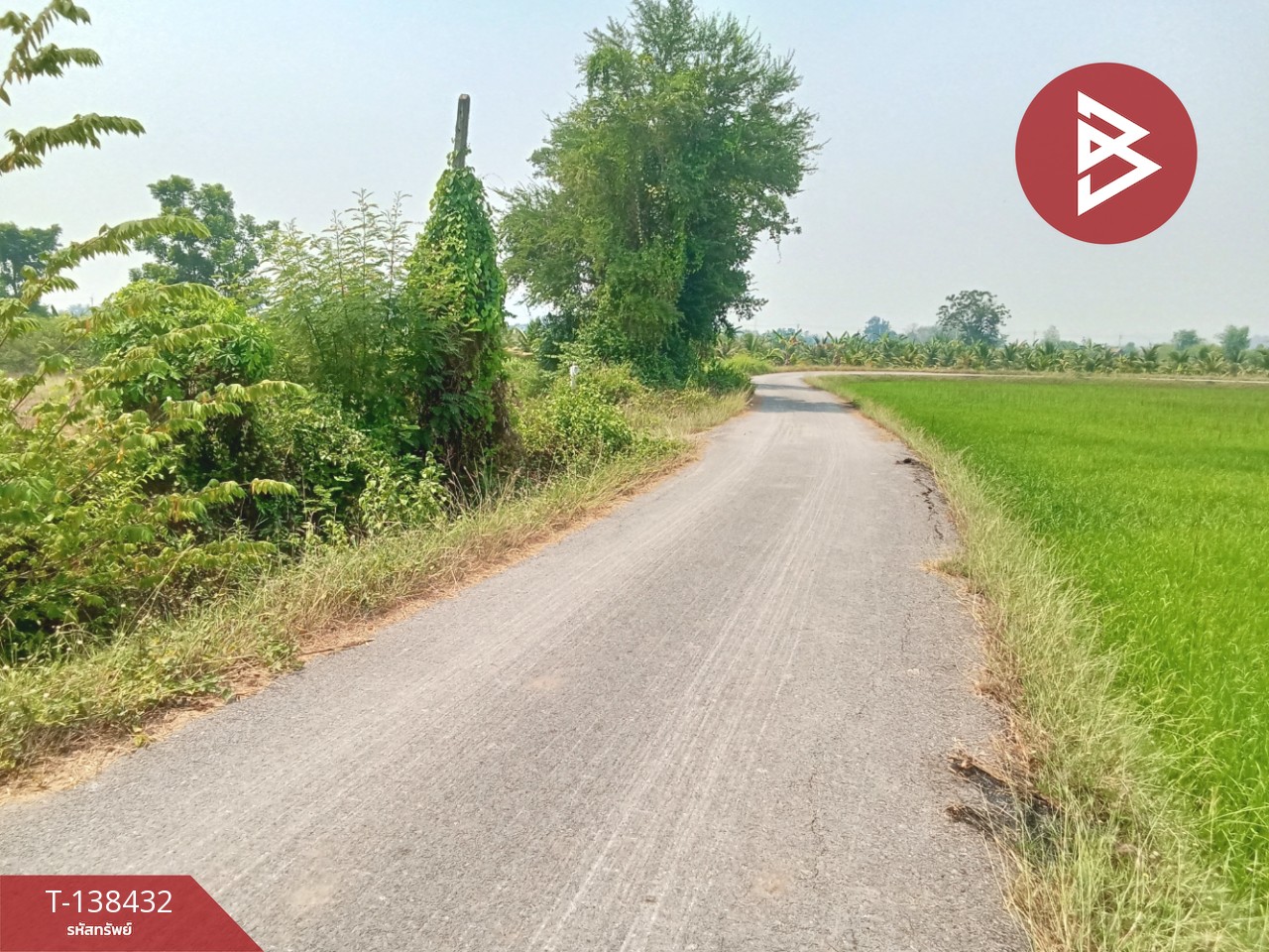 ขายที่ดิน เนื้อที่ 2 งาน 98.6 ตร.วา เขาแร้ง ราชบุรี 9