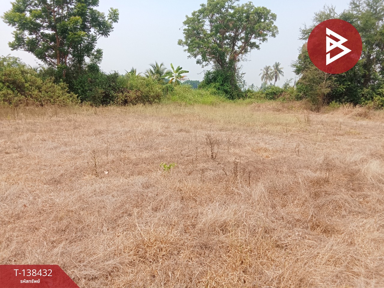 ขายที่ดิน เนื้อที่ 2 งาน 98.6 ตร.วา เขาแร้ง ราชบุรี 4