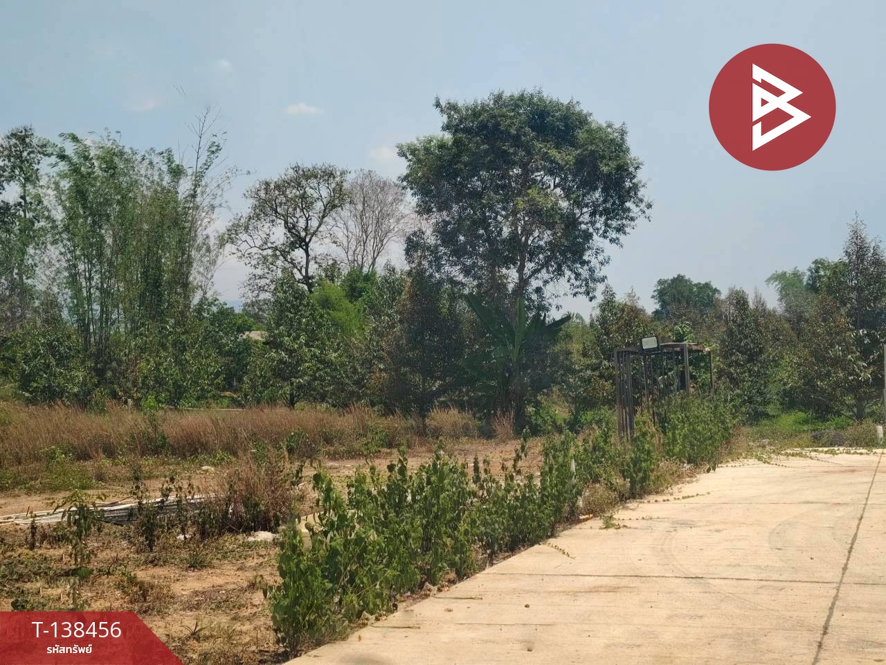 ขายที่ดินแปลงสวย เนื้อที่ 100 ตร.วา ท่าช้าง หน้าอบจ.จันทบุรี 6