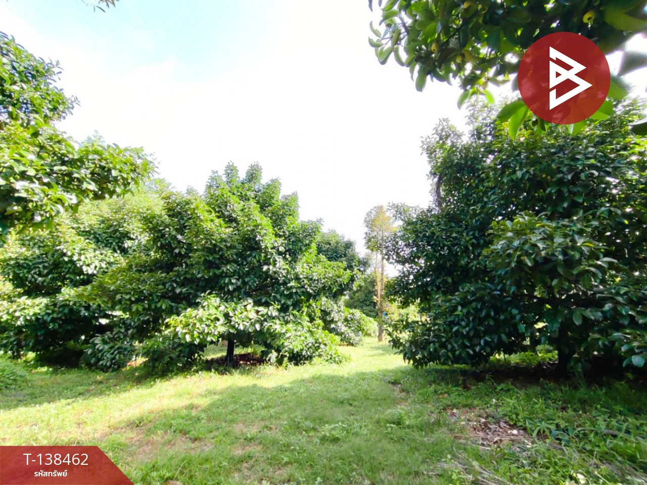 ขายที่ดิน เนื้อที่ 6 ไร่ 1 งาน 21.6 ตารางวา อ.มะขาม จันทบุรี ทำเลดี 5