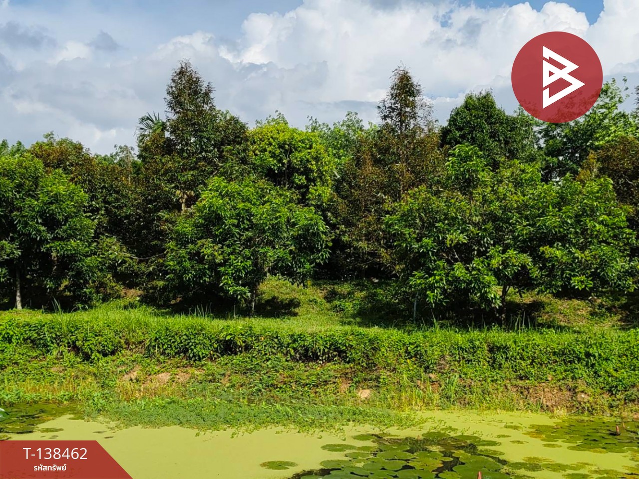 ขายที่ดิน เนื้อที่ 6 ไร่ 1 งาน 21.6 ตารางวา อ.มะขาม จันทบุรี ทำเลดี 10