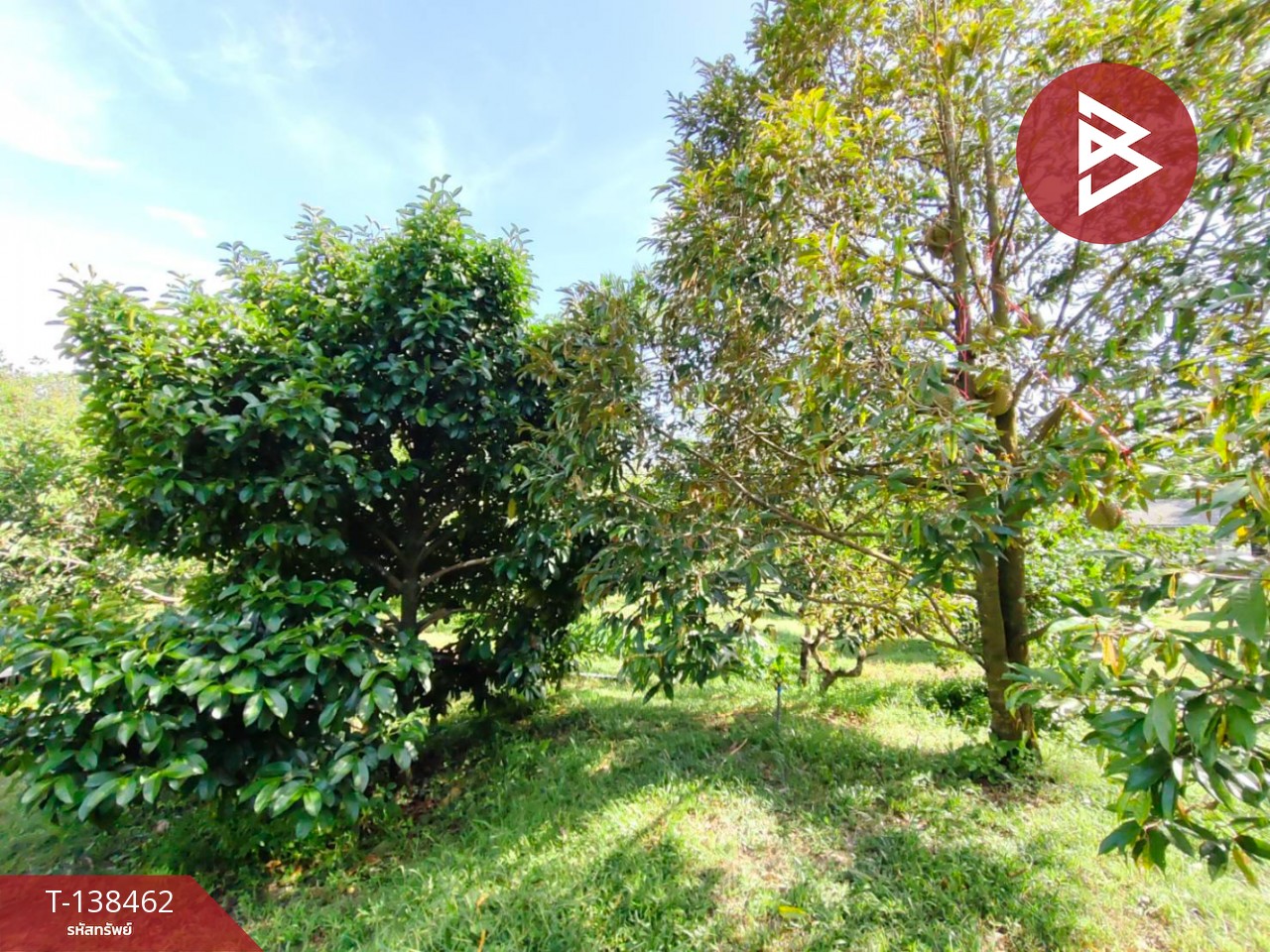 ขายที่ดิน เนื้อที่ 6 ไร่ 1 งาน 21.6 ตารางวา อ.มะขาม จันทบุรี ทำเลดี 9