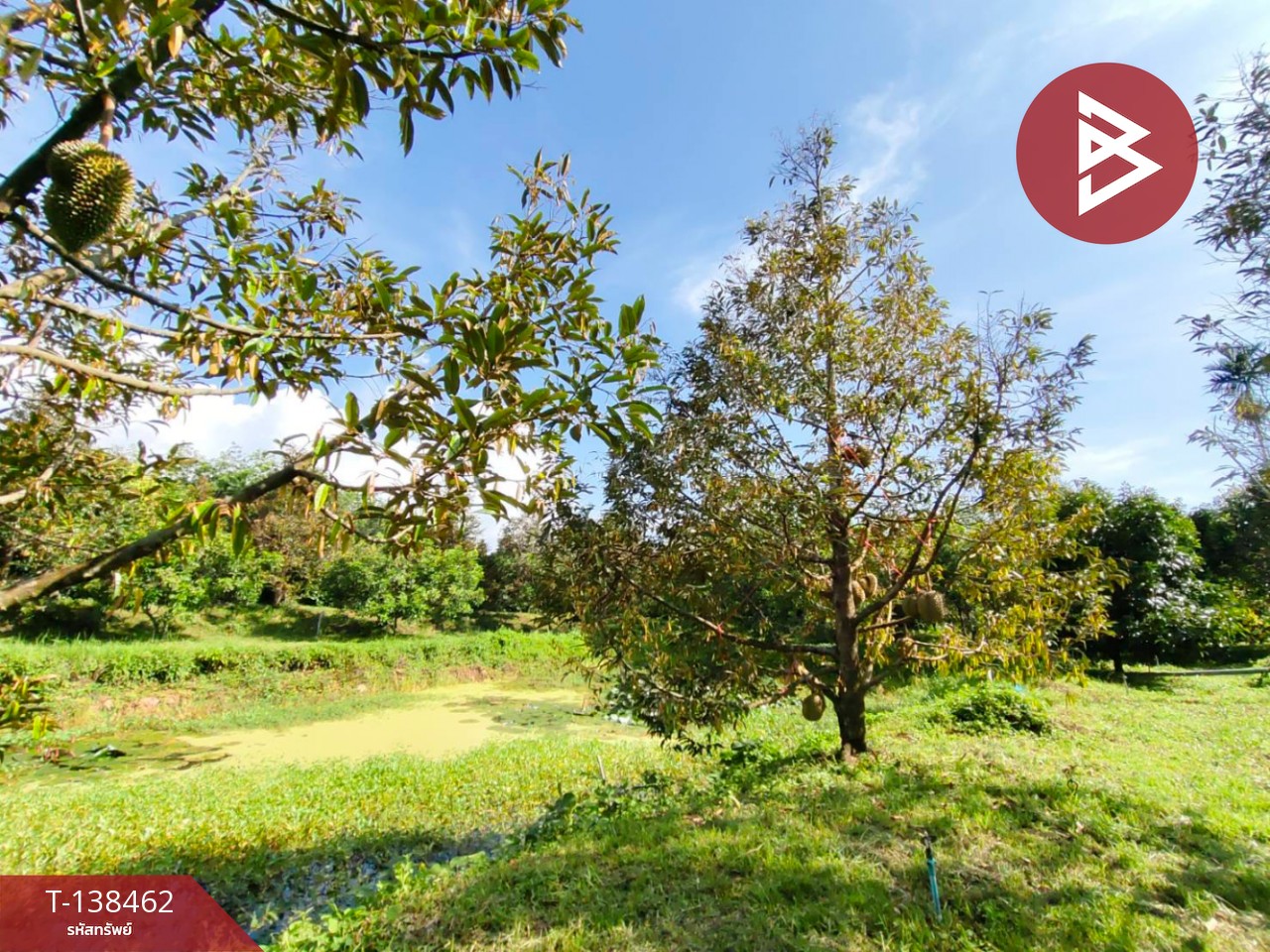 ขายที่ดิน เนื้อที่ 6 ไร่ 1 งาน 21.6 ตารางวา อ.มะขาม จันทบุรี ทำเลดี 8