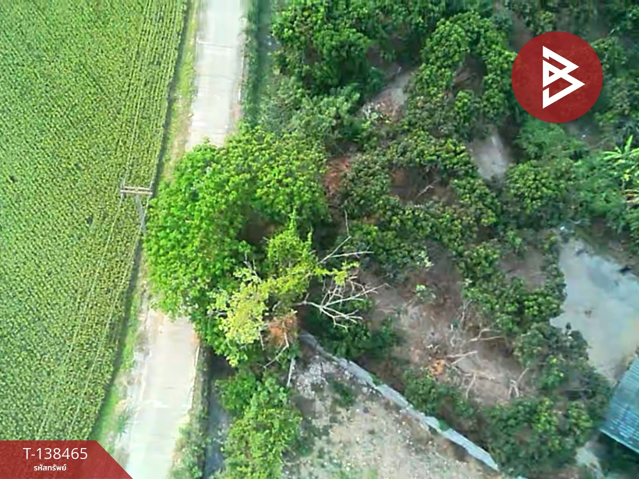 ขายบ้านเดี่ยวชั้นเดียว เนื้อที่ 323 ตารางวา ต้นโชค-หนองตอง เชียงใหม่ 15