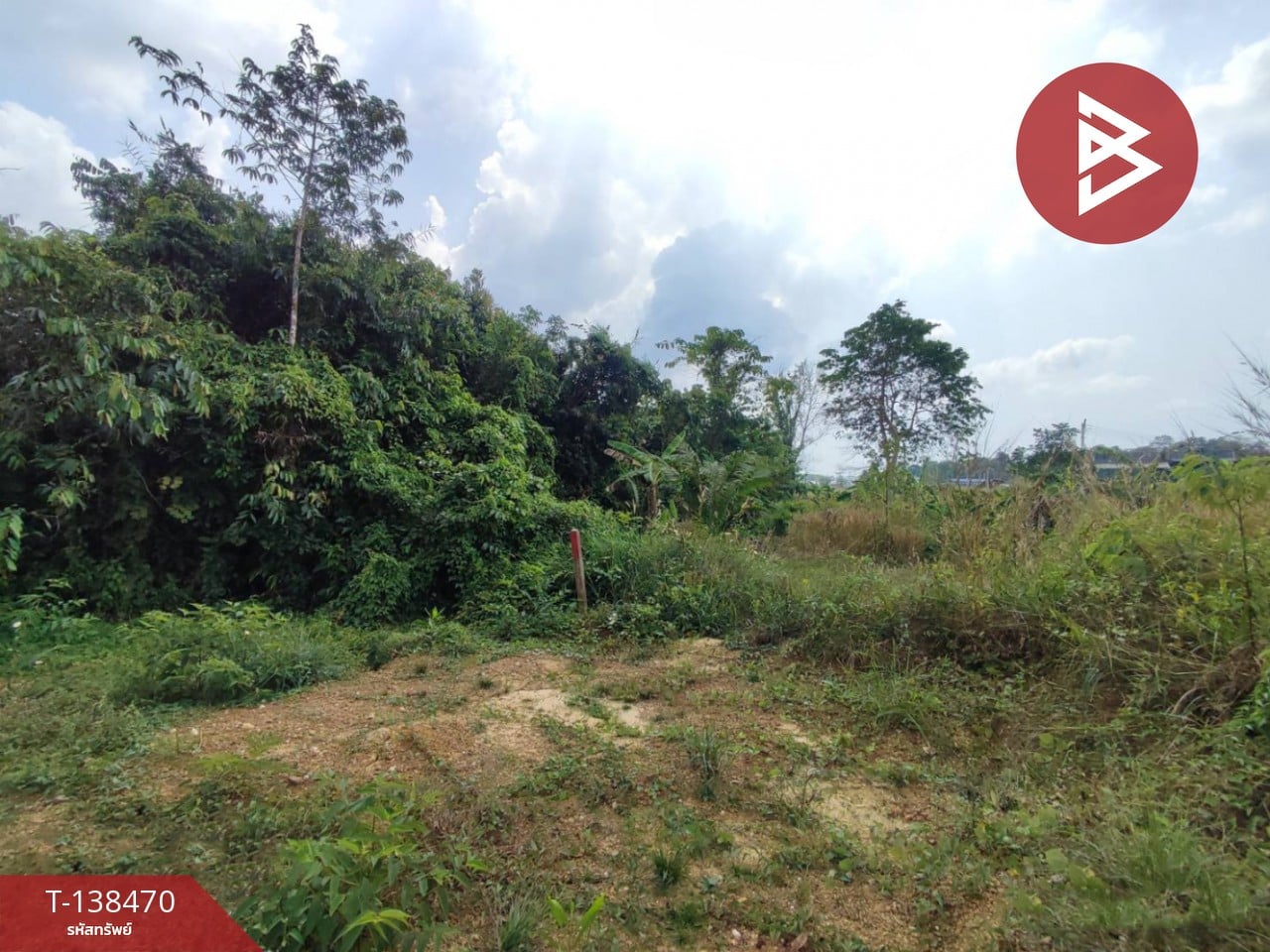 ขายที่ดิน เนื้อที่ 403 ตารางวา จันทบุรี ใจกลางเมืองท่าช้าง พื้นที่สีเหลือง 1