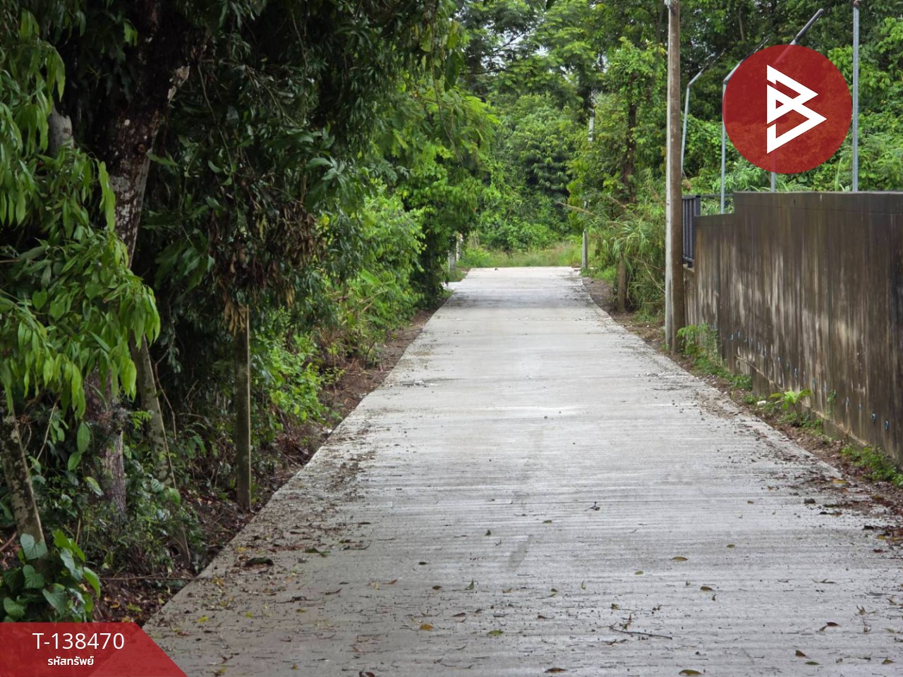 ขายที่ดิน เนื้อที่ 403 ตารางวา จันทบุรี ใจกลางเมืองท่าช้าง พื้นที่สีเหลือง 5