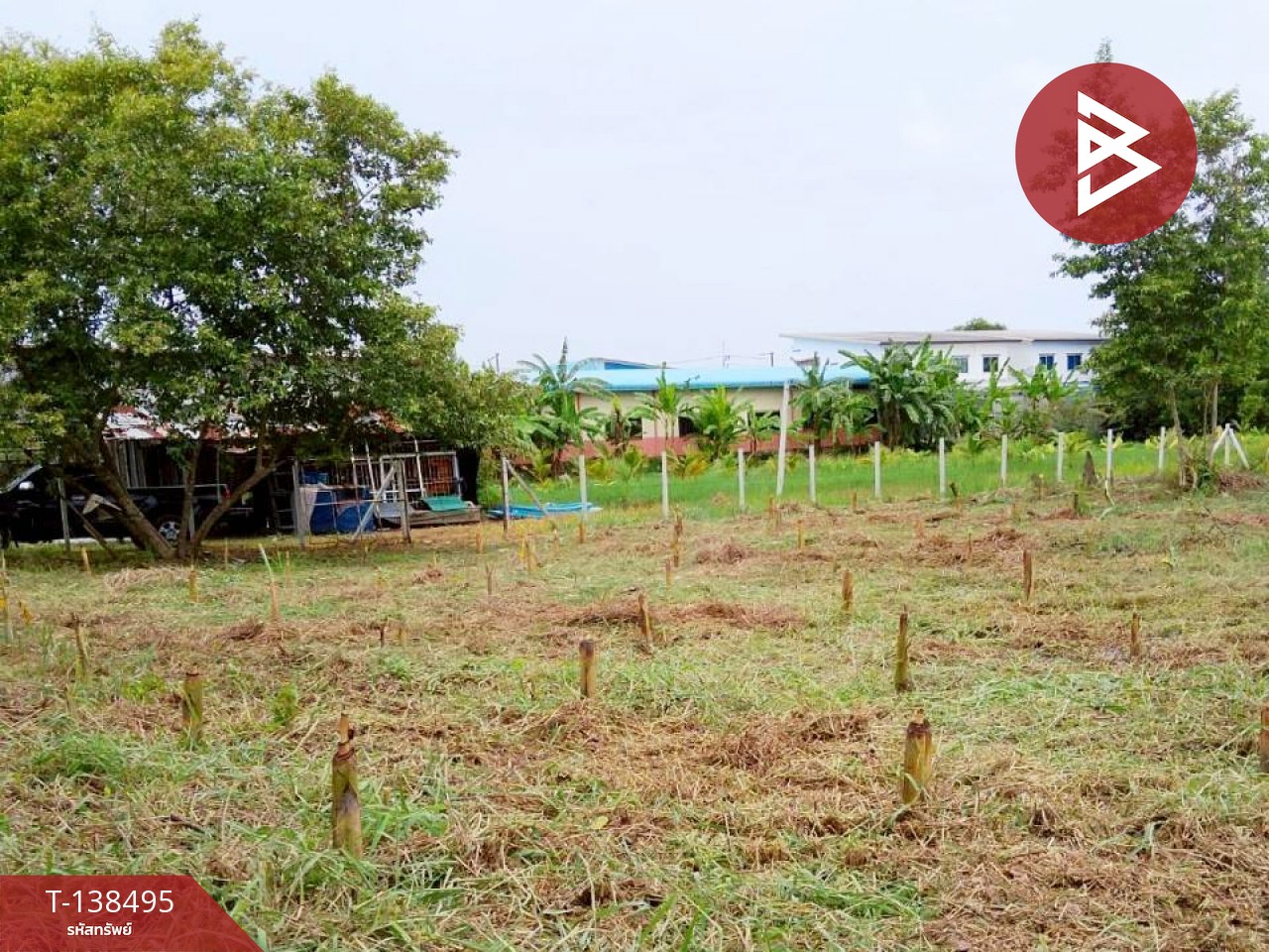 ขายที่ดิน เนื้อที่ 3 งาน 27 ตร.วา หนองเสือ ปทุมธานี 2