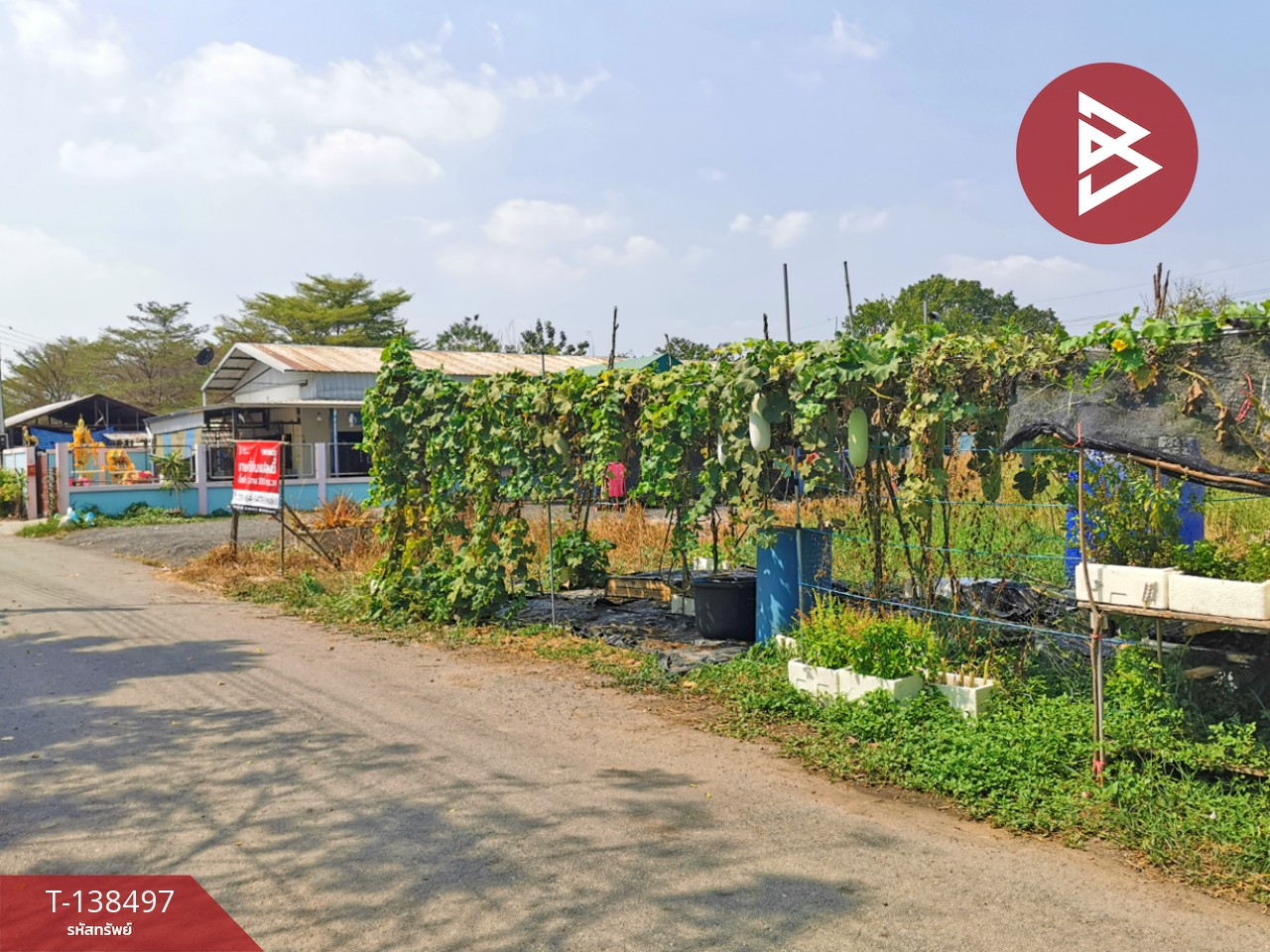 ขายที่ดิน เนื้อที่ 2 งาน 33 ตร.วา คลองหลวง ปทุมธานี 3