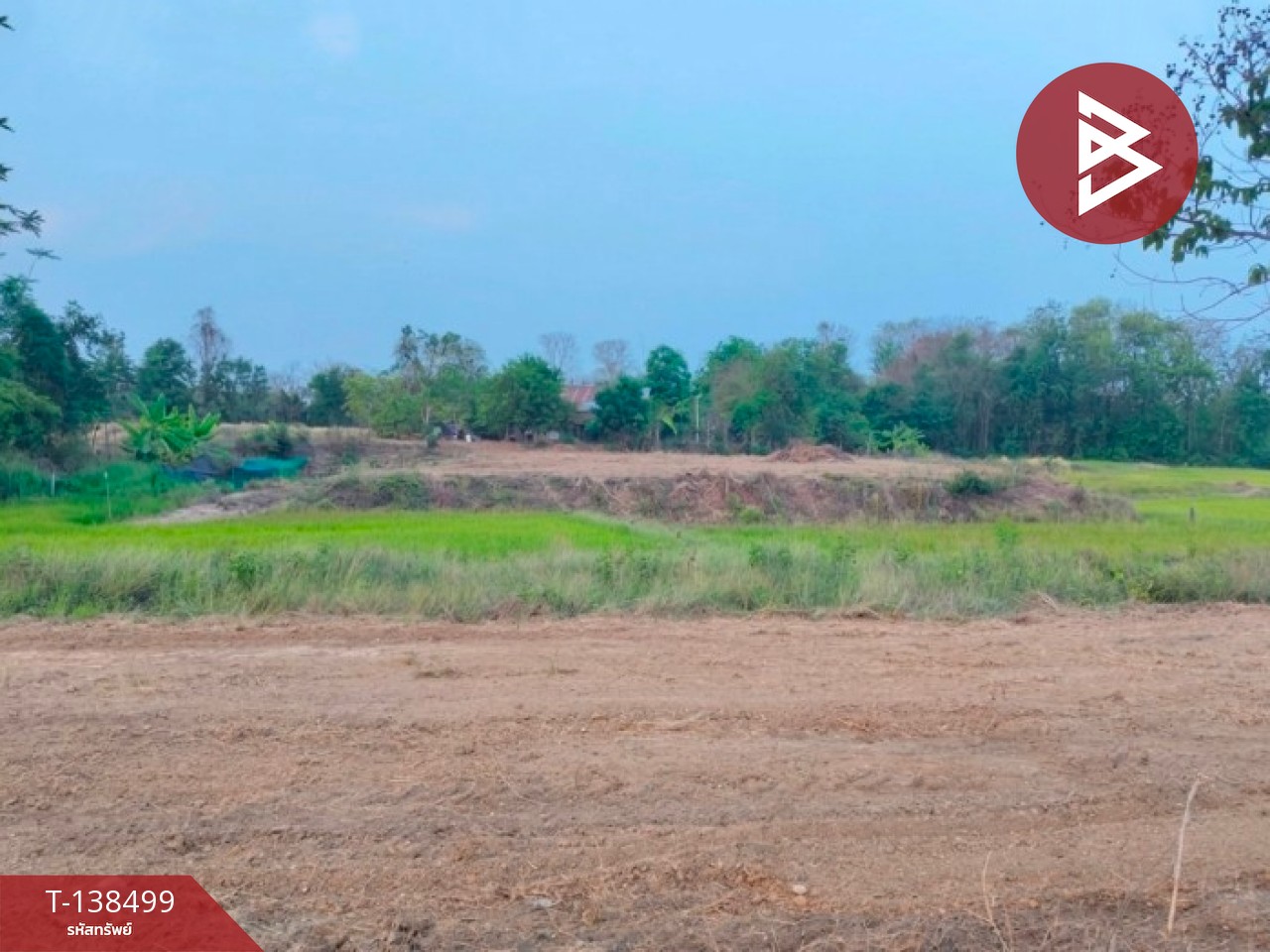 ขายที่ดิน เนื้อที่ 1 ไร่ ต.ผาจุก อุตรดิตถ์ 2