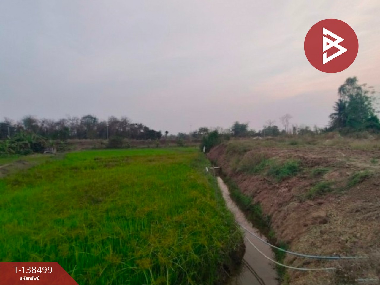 ขายที่ดิน เนื้อที่ 1 ไร่ ต.ผาจุก อุตรดิตถ์ 6