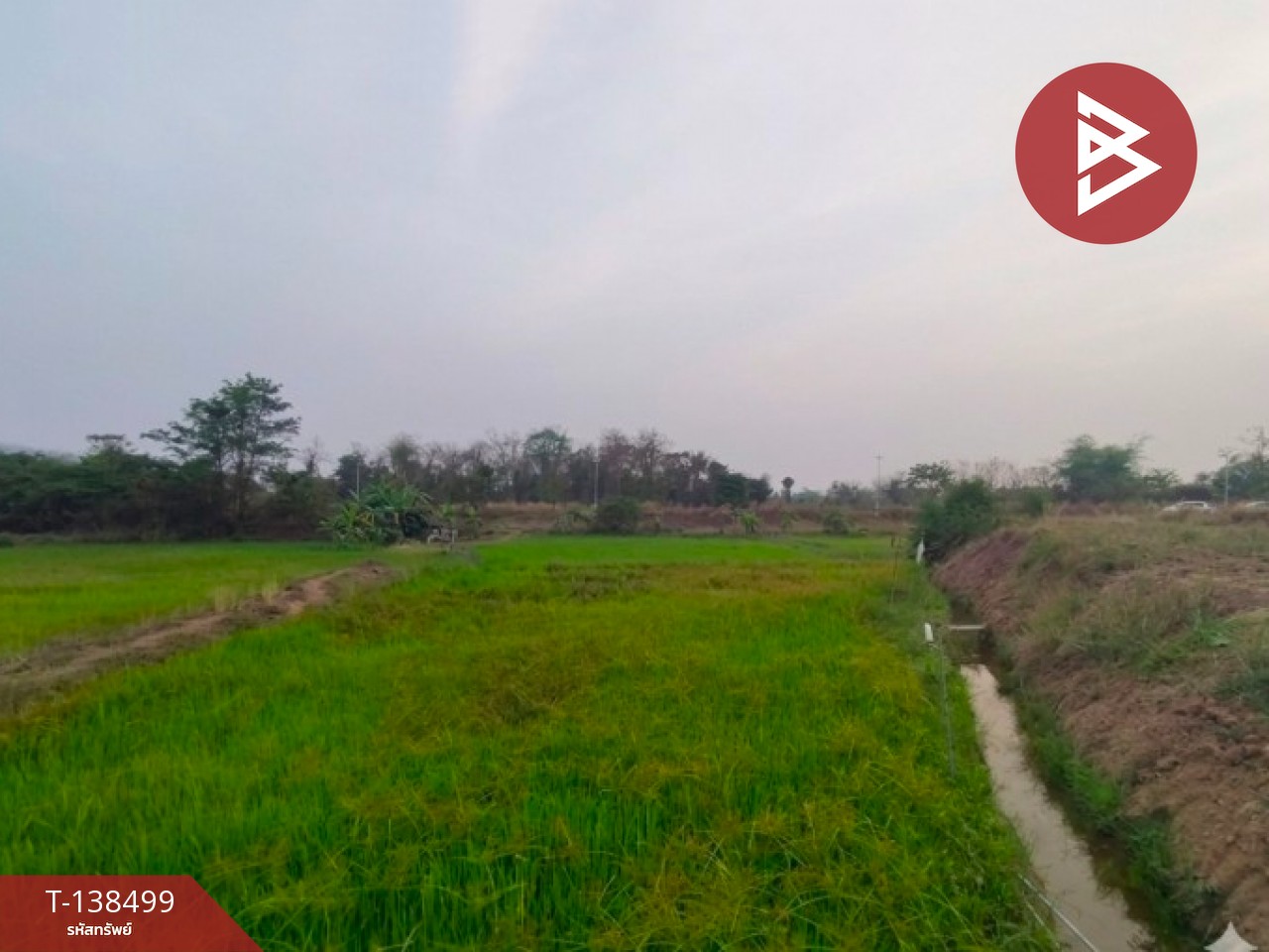 ขายที่ดิน เนื้อที่ 1 ไร่ ต.ผาจุก อุตรดิตถ์ 4