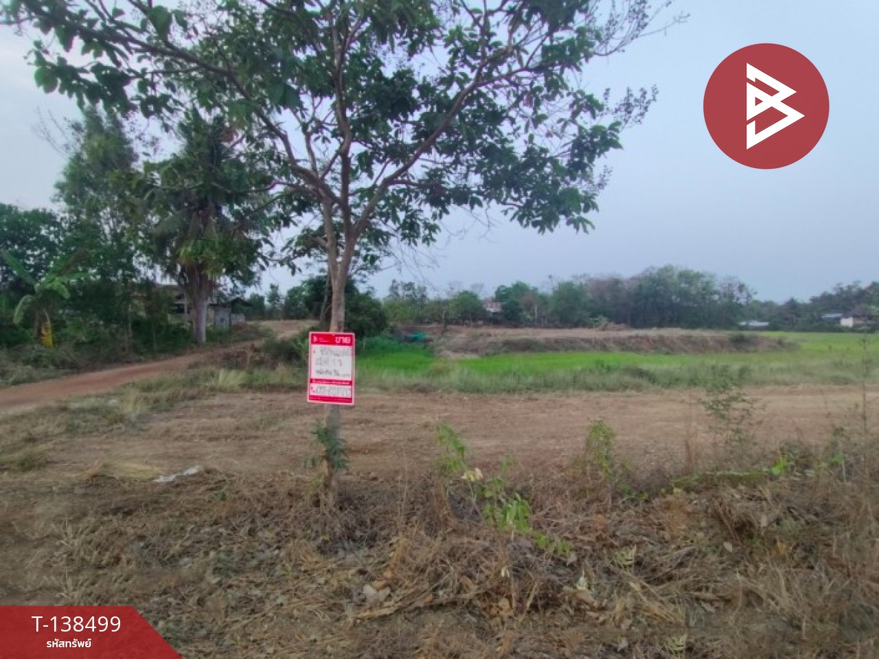 ขายที่ดิน เนื้อที่ 1 ไร่ ต.ผาจุก อุตรดิตถ์ 11