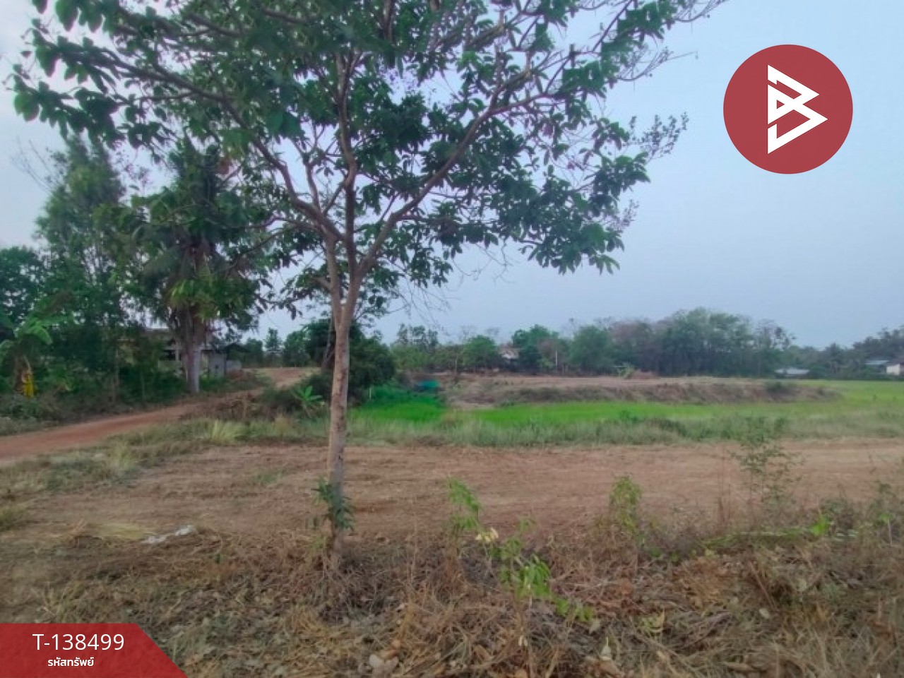 ขายที่ดิน เนื้อที่ 1 ไร่ ต.ผาจุก อุตรดิตถ์ 5