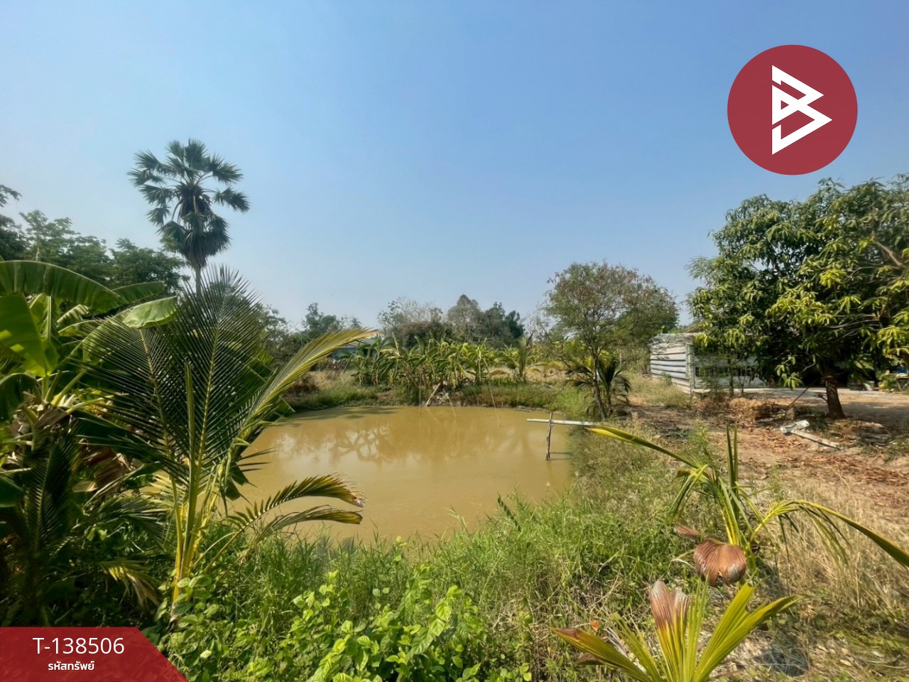 ขายที่ดิน เนื้อที่ 1 ไร่ 3 งาน 45 ตร.วา คลองขลุง กำแพงเพชร 6