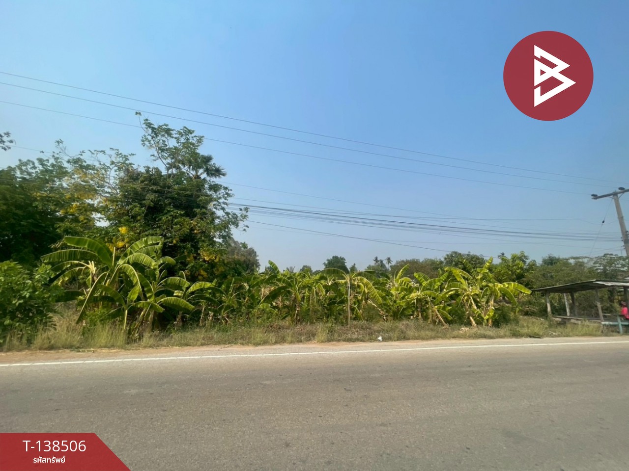 ขายที่ดิน เนื้อที่ 1 ไร่ 3 งาน 45 ตร.วา คลองขลุง กำแพงเพชร 5