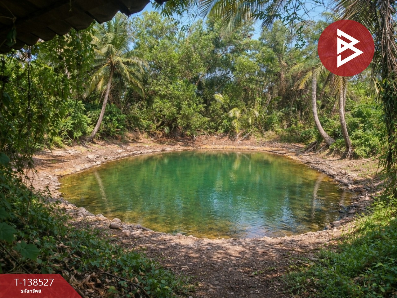 ขายบ้านเดี่ยว เนื้อที่ 1 งาน 91 ตร.วา แกลง ระยอง 2