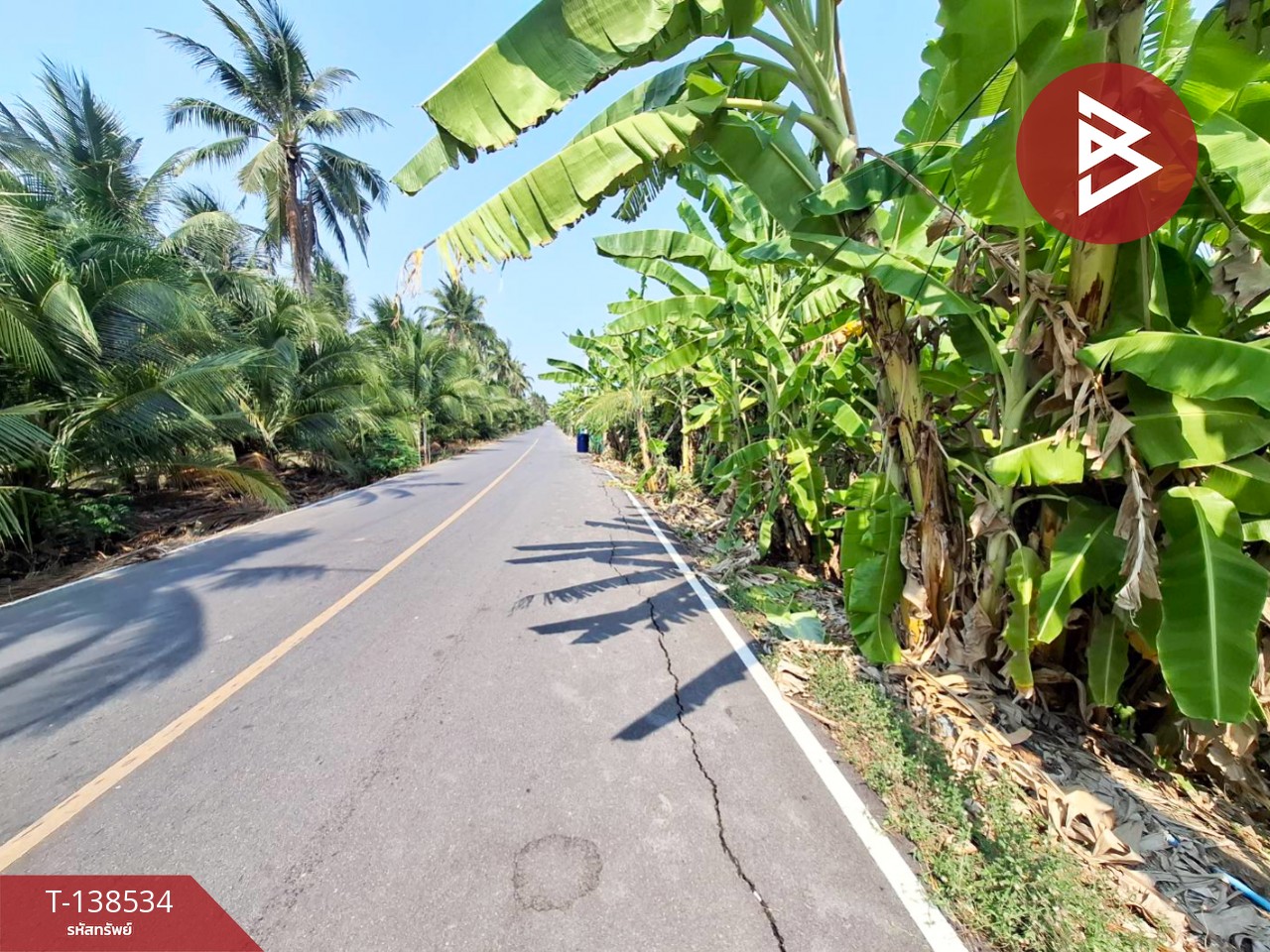 ขายที่ดิน เนื้อที่ 3 งาน 91.7 ตร.วา บ้านแพ้ว สมุทรสาคร 6