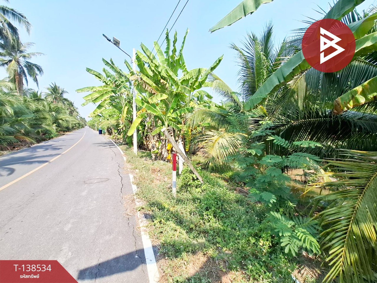 ขายที่ดิน เนื้อที่ 3 งาน 91.7 ตร.วา บ้านแพ้ว สมุทรสาคร 2