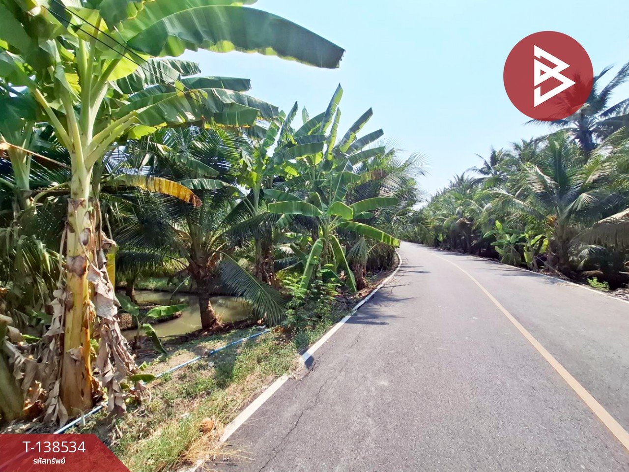 ขายที่ดิน เนื้อที่ 3 งาน 91.7 ตร.วา บ้านแพ้ว สมุทรสาคร 3