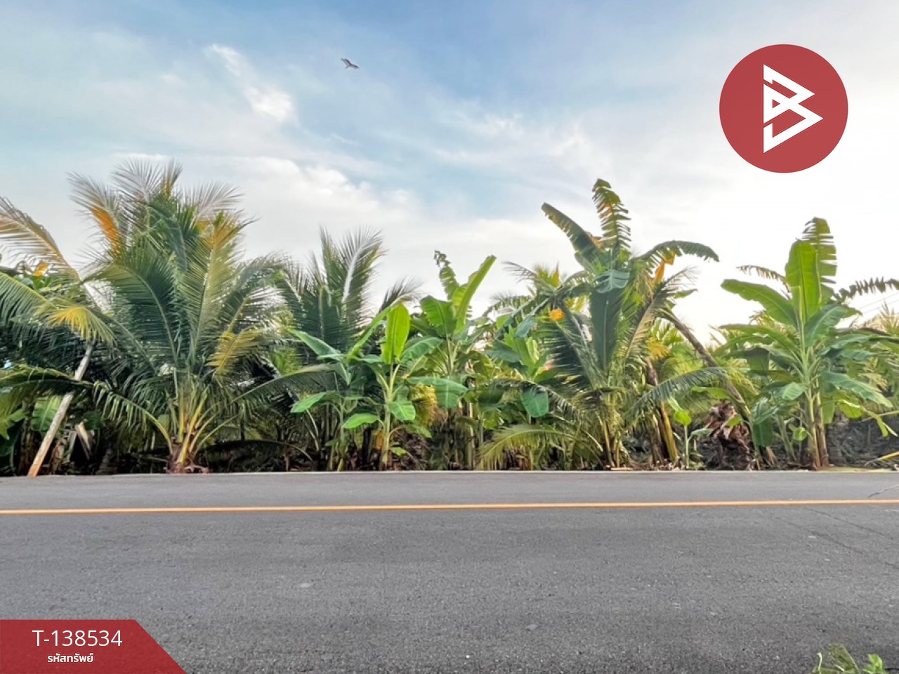 ขายที่ดิน เนื้อที่ 3 งาน 91.7 ตร.วา บ้านแพ้ว สมุทรสาคร 1