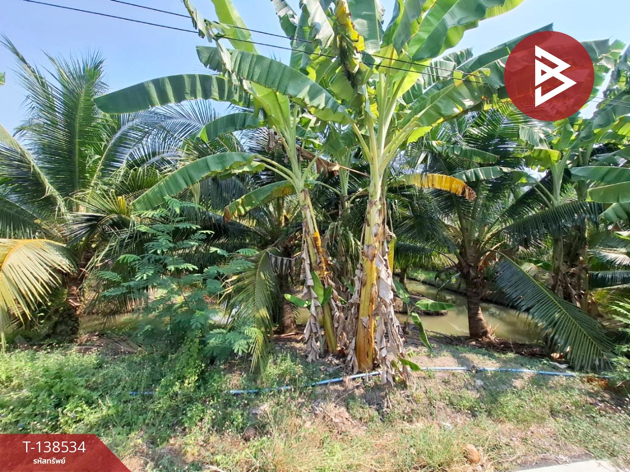 ขายที่ดิน เนื้อที่ 3 งาน 91.7 ตร.วา บ้านแพ้ว สมุทรสาคร 5