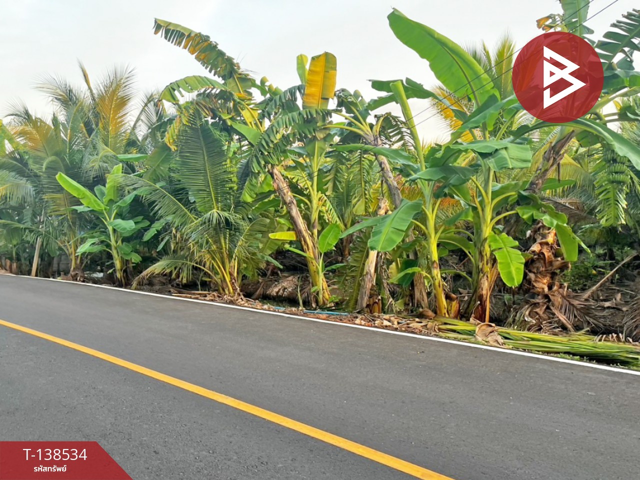 ขายที่ดิน เนื้อที่ 3 งาน 91.7 ตร.วา บ้านแพ้ว สมุทรสาคร 8