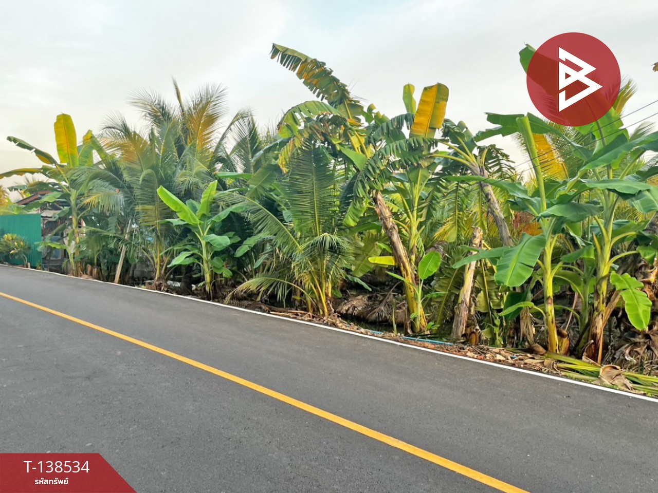 ขายที่ดิน เนื้อที่ 3 งาน 91.7 ตร.วา บ้านแพ้ว สมุทรสาคร 9