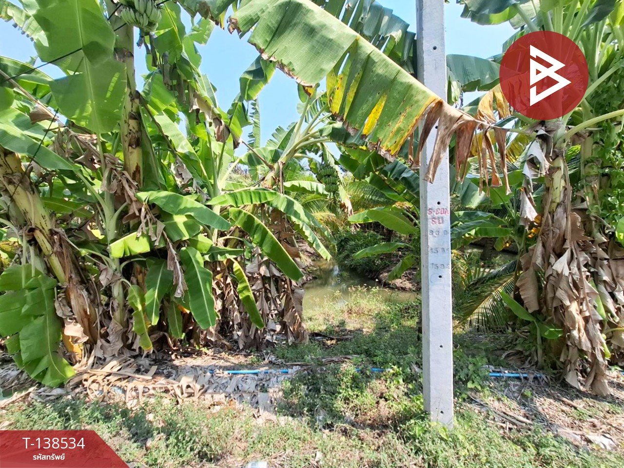 ขายที่ดิน เนื้อที่ 3 งาน 91.7 ตร.วา บ้านแพ้ว สมุทรสาคร 4