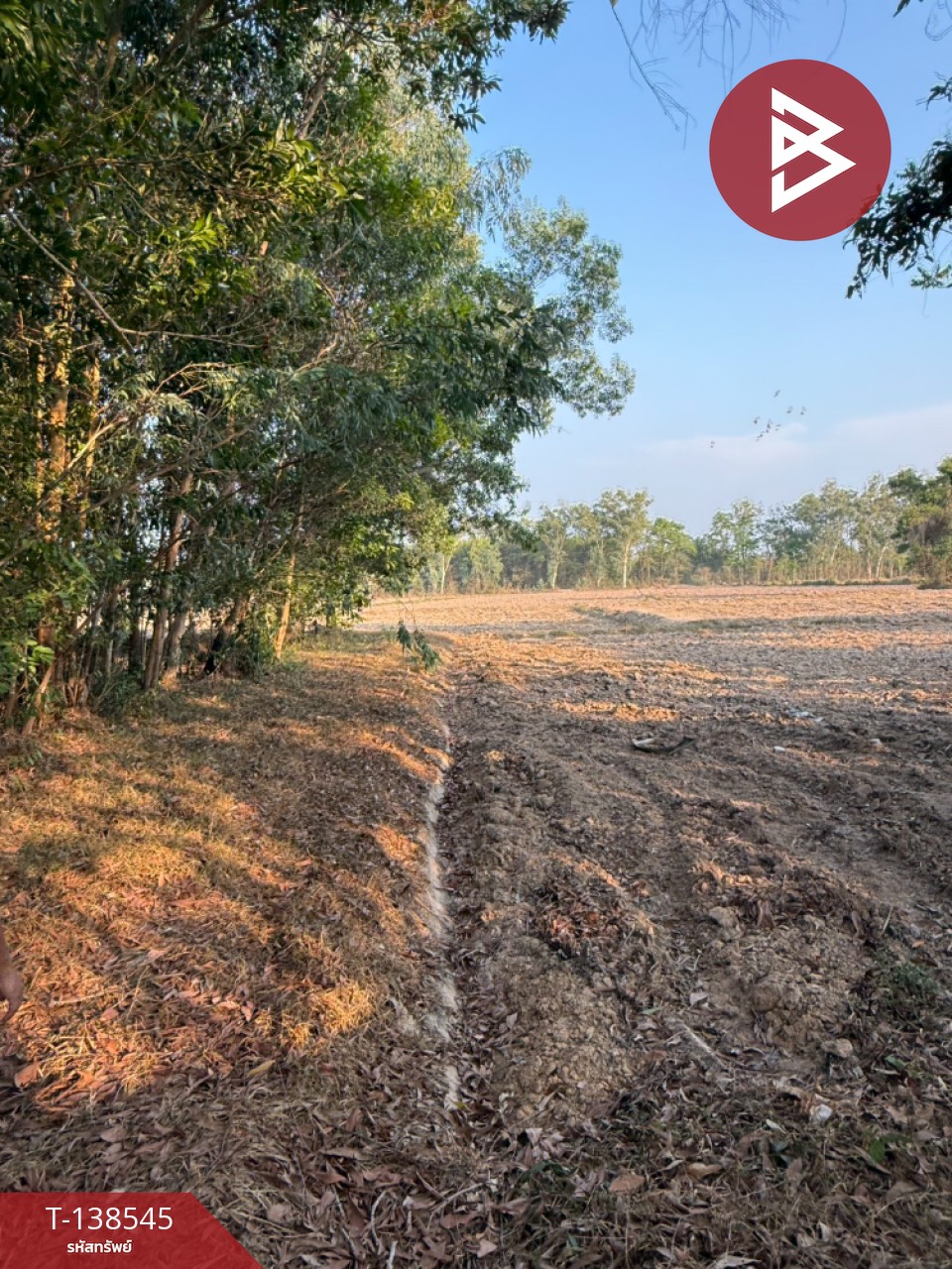 ขายที่ดิน เนื้อที่ 7 ไร่ 1 งาน 33 ตร.วา ปากพลี นครนายก 4