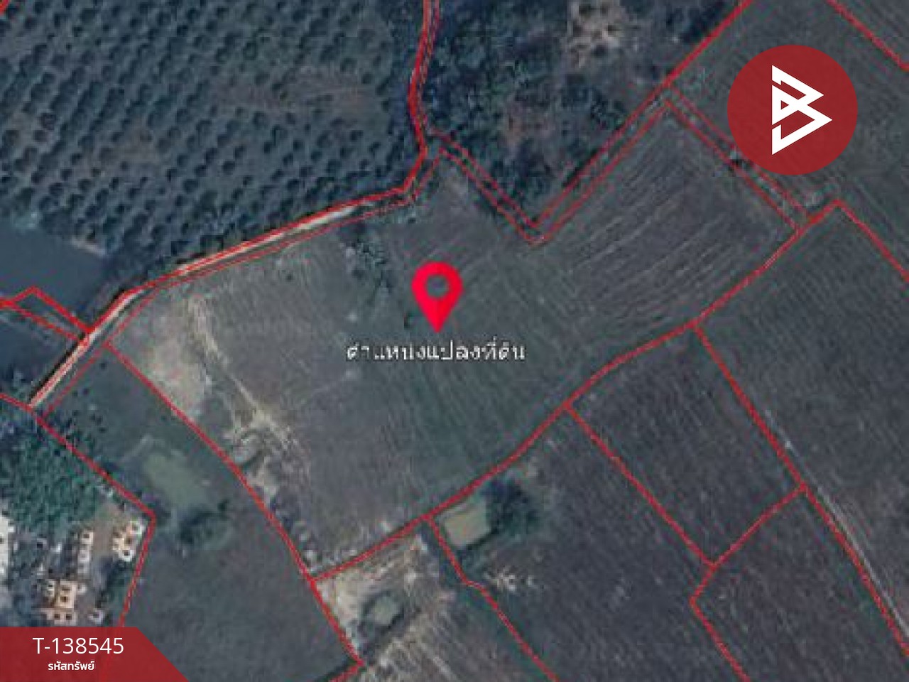 ขายที่ดิน เนื้อที่ 7 ไร่ 1 งาน 33 ตร.วา ปากพลี นครนายก 6