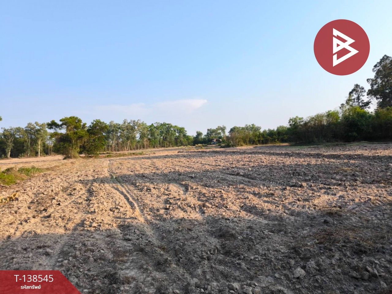 ขายที่ดิน เนื้อที่ 7 ไร่ 1 งาน 33 ตร.วา ปากพลี นครนายก 3